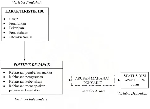 Gambar 2.2. Kerangka Konsepsional 