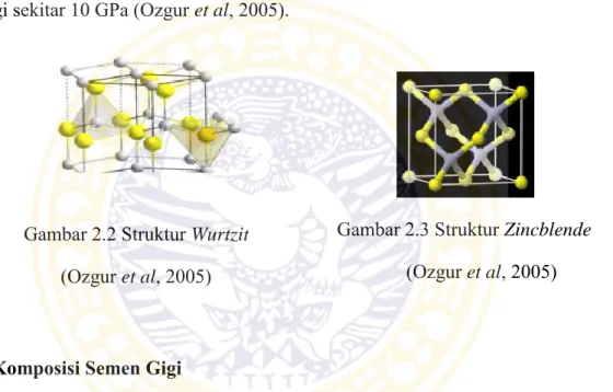Gambar 2.2 Struktur Wurtzit  (Ozgur et al, 2005)