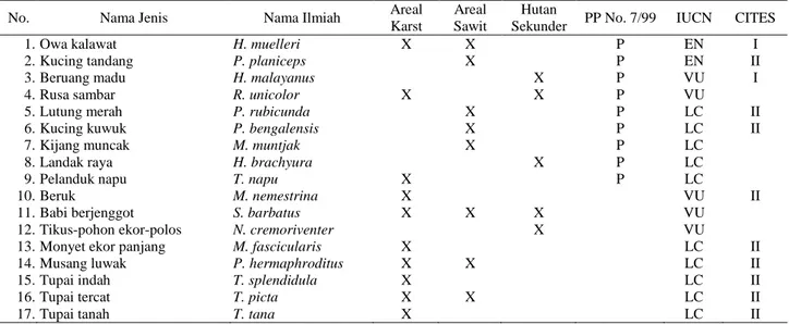 Tabel 2.  Status perlindungan dan kelangkaan spesies mamalia di areal perkebunan sawit PT STN Kalimantan Timur 