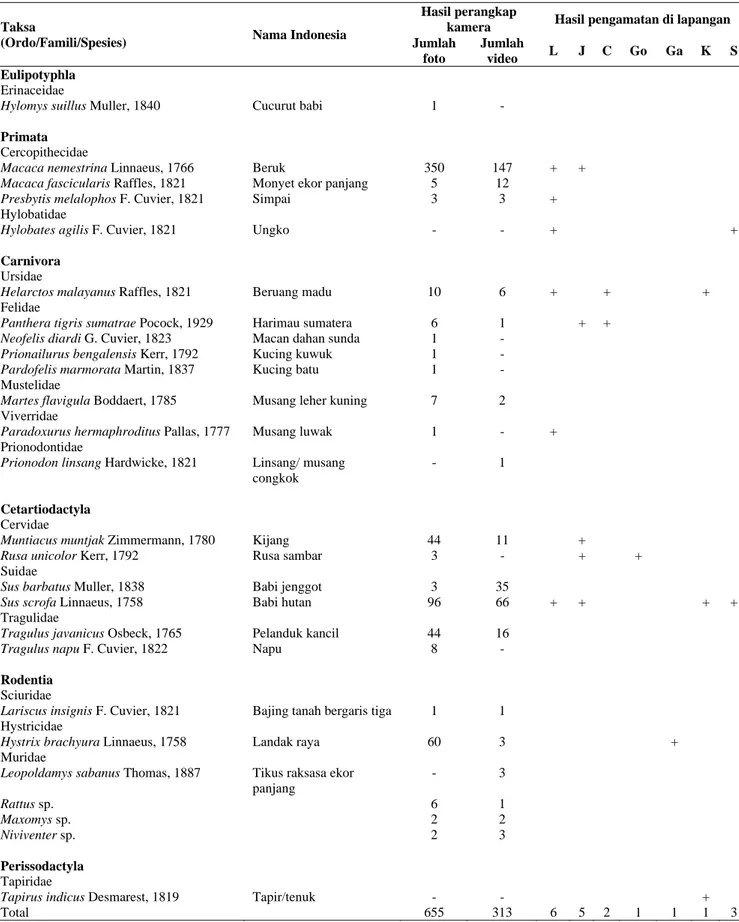 Tabel 1. Spesies mamalia yang ditemukan di Hutan Konservasi Prof. Dr. Sumitro Djojohadikusumo PT