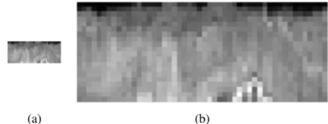 Gambar  2:  Normalisasi  wilayah  iris  ke  koordinat  polar  (a)  ukuran  50×20  piksel (b) ukuran diperbesar menjadi 200×80 piksel 