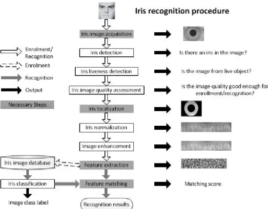Gambar 2.5 Algoritma Sistem Pengenalan Iris (Putra, 2009:77) 