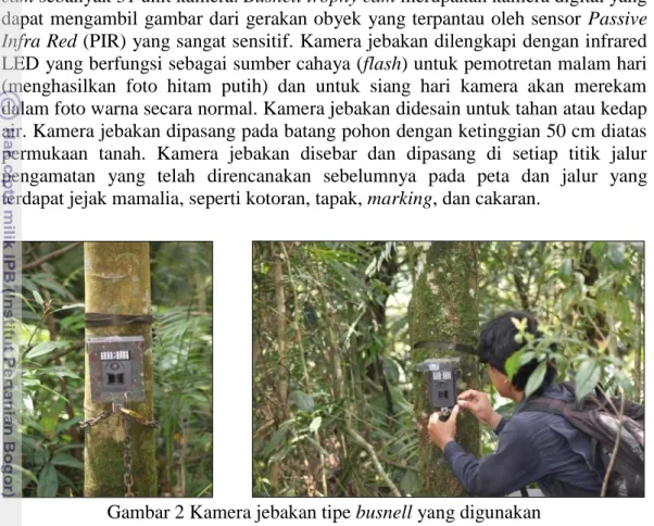Gambar 2 Kamera jebakan tipe busnell yang digunakan  Perangkap Hidup (Live Trapping) 