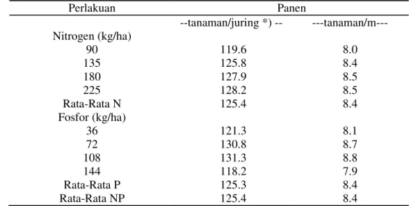 Tabel 15. Rata-rata Jumlah Tanaman Dipanen per Juring pada Perlakuan  Dosis Nitrogen dan Fosfor saat Panen 