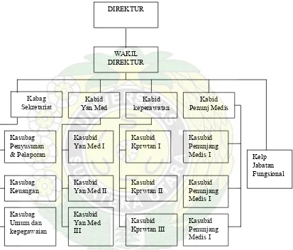Gambar 4.  Struktur Organisasi Rumah Sakit 