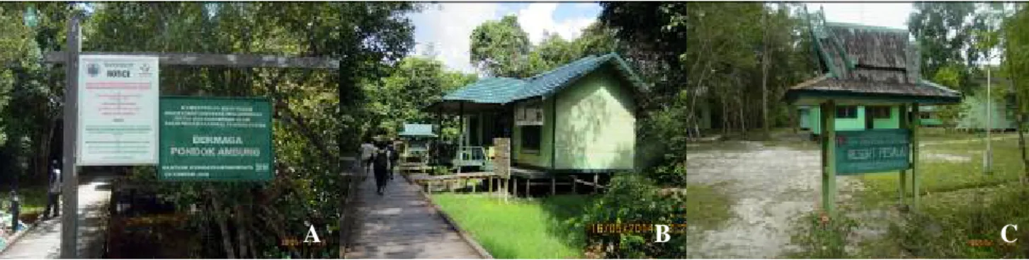 Gambar 2. Lokasi penelitian di TN Tanjung Puting, Kalimantan Tengah: A. Pondok Ambung, B