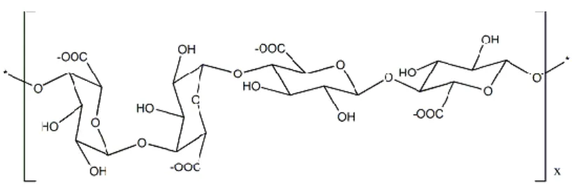 Gambar 4. Stuktur molekul alginat 
