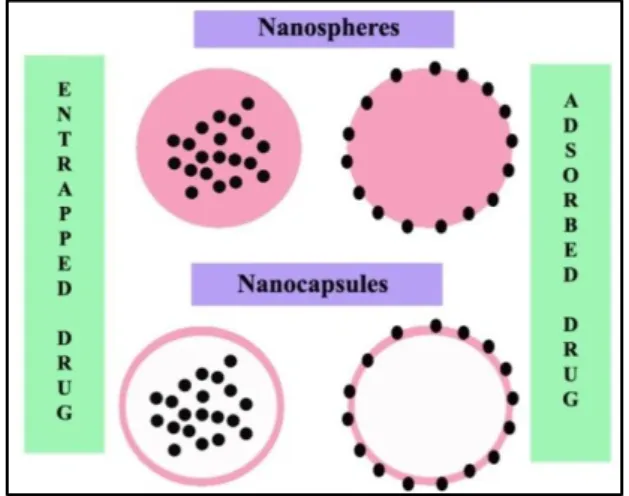 Gambar 2. Nanosphere dan Nanocapsule 