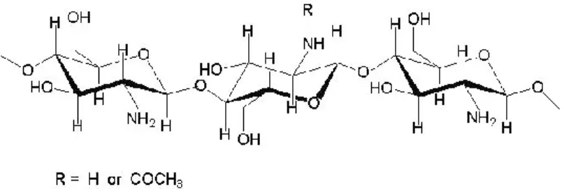 Gambar 4.Struktur kimia kitosan (Hermawan, 2012) 