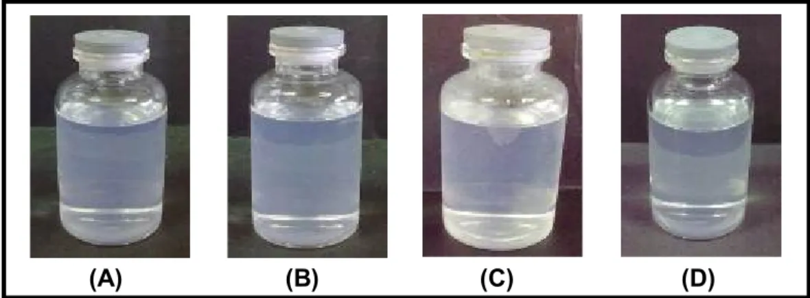 Gambar 1. Larutan suspensi nanopartikel: formula A (A), formula B (B), formula C (C) dan formula D (D)