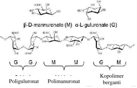 Gambar 4 . struktur dan tipe polimer dari alginat ( Higham.,dkk)