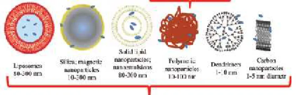 Gambar 6. Jenis Nanocarrier yang digunakan sebagai drug delivery sistem (DDS) (Wilczewska dkk., 2012).