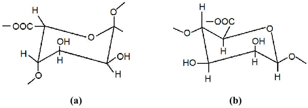 Gambar 3.  Struktur kimia (a)  - -guluronic acid (b)  - -manuronic acid  (Moura dkk., 2009) 