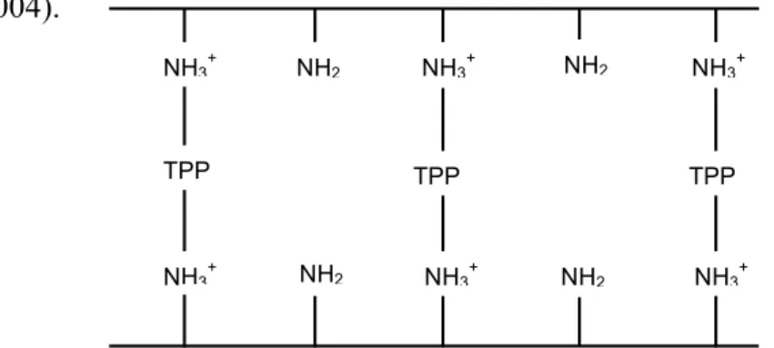 Gambar 6. Proses crosslinking TPP dan Kitosan (Liu dkk., 2004) NH3+ NH3+ NH3+ TPPTPPTPPNH3+ NH3+ NH3+ NH2NH2NH2NH2