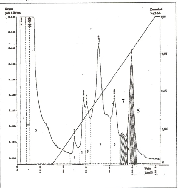 Gambar 1. Profil elusi kromatografi dengan kolom CM Sepharose CL-6B, fraksi dikoleksi setiap 2 menit