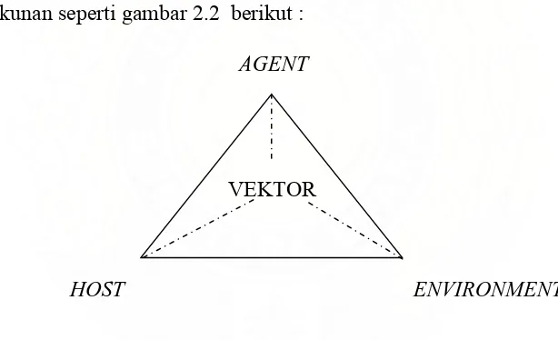 Gambar 2.2.  Model klasik kausasi segitiga epidemiologi 