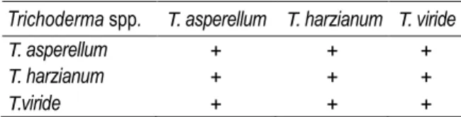 Tabel 2.  Kesesuaian tiga spesies Trichoderma spp. 