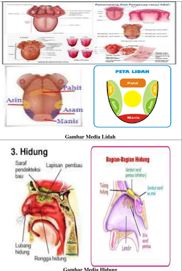Gambar Media Lidah 