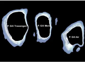 Gambar  5. Grafik bi plot nilai logaritmik piksel saluran 2 (ban 2) dan 3 (kiri),  saluran 2 dan 4 (tengah) serta saluran 3 dan 4 (kanan) yang diperoleh  dari dasar perairan bersubstrat pasir yang homogin