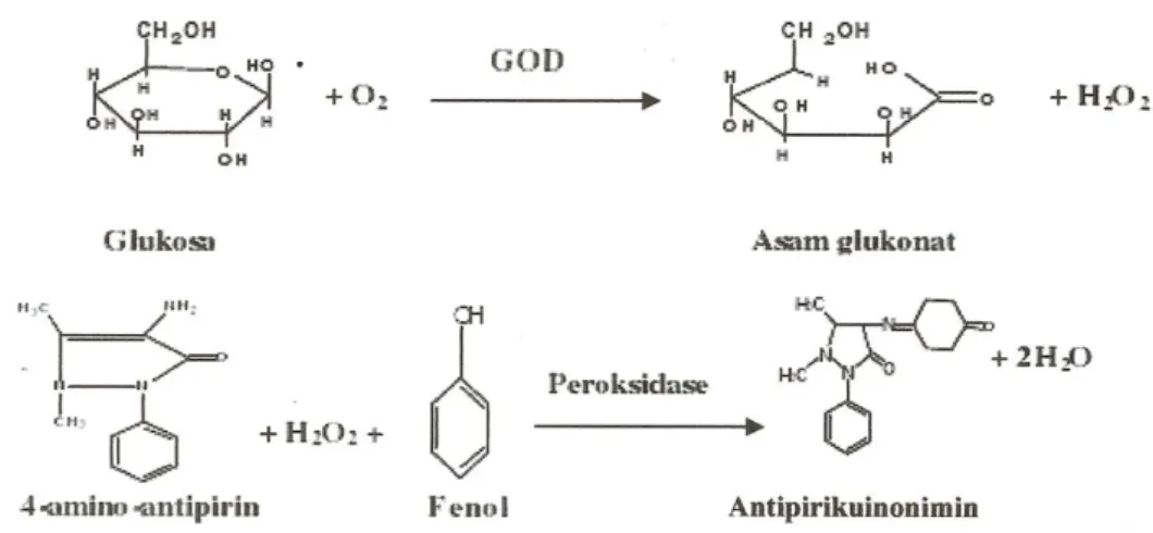 Gambar 2. Reaksi Pembentukan Warna Metode Enzimatik GOD-PAP 