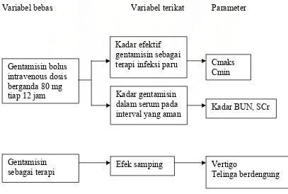 Gambar 1.1 Kerangka konsep penelitian 