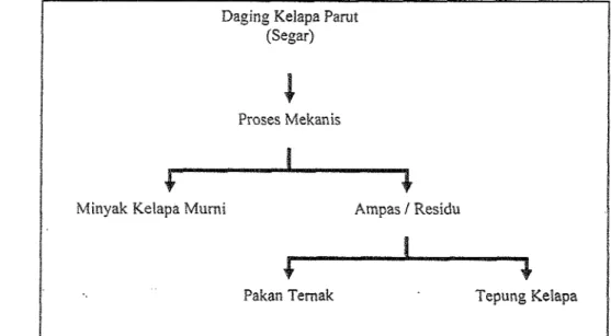 Gambar  1.  Diagram skema pemanfaatan daging kelapa (Syah  et. nl., 2004) 