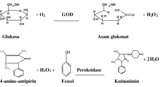Gambar 2. Pembentukan Senyawa Berwarna Merah (kuinonimin) dari Substansi  Awal Glukosa dengan Reagen GOD PAP (Chaplin, 1996, cit Rezeki,  2005)