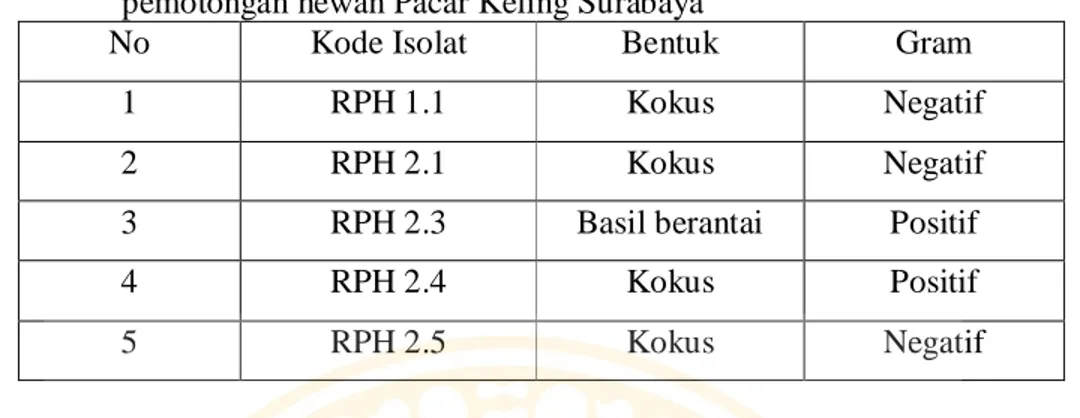 Tabel  2.  Karakter  mikroskopis  lima  isolat  bakteri  proteolitik  dari  limbah  rumah  pemotongan hewan Pacar Keling Surabaya  