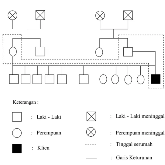 Gambar 2.1  Genogram 