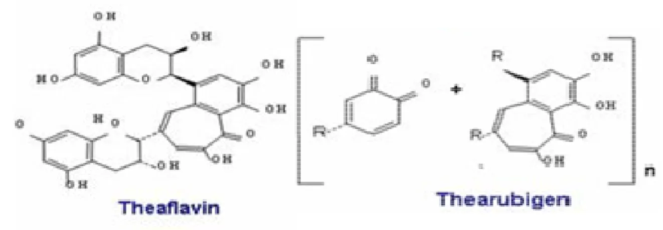 Gambar 2. Struktur kimia Theaflavin dan Thearubigin 