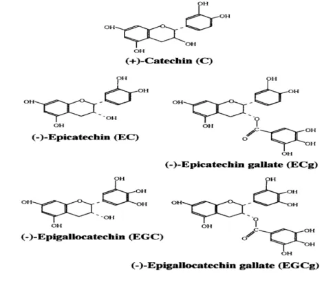 Gambar 4 Stuktur Kimia Polifenol Teh Hijau (Kobayashi et al. 2000)  Dosis Teh  