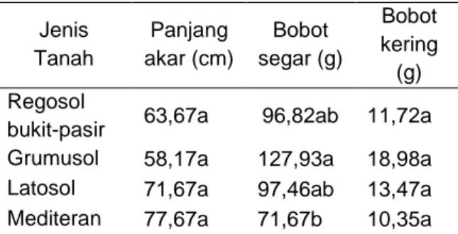 Tabel  1.  Pengaruh  jenis  tanah  terhadap  panjang,  bobot  segar,  dan  bobot  kering akar  Jenis  Tanah  Panjang  akar (cm)  Bobot  segar (g)  Bobot  kering  (g)  Regosol 