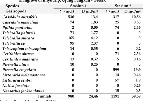 Tabel 3.  Perbandingan  Kepadatan  (D)  Gastropoda  (idv/m²)  antar  habitat  Mangrove di Bnyuurip, Ujung Pangkah - Gresik  