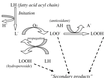 Gambar 4. Skema autoksidasi pada asam lemak tak jenuh (Sampaio et al. 2006) 