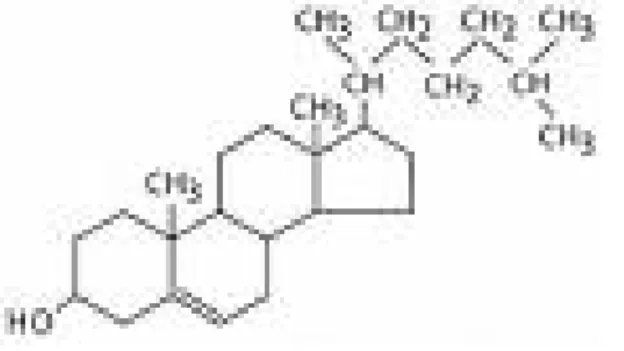 Gambar 6. Struktur kimia kolesterol (Sampaio et al. 2006) 