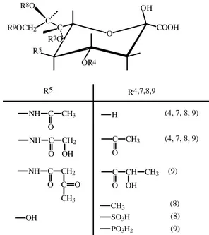 Figure 1.  Sialic  acid  are  N-Acetylneuraminic  acid dan its derivates 