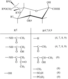Figure 1.  Sialic acid are N-Acetylneuraminic  acid dan its derivates 