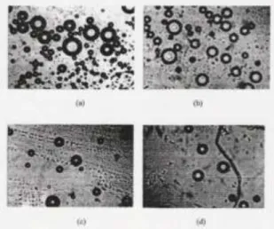 Figure 1.  Microcapsule (zoomed 100 X)  a.  Microcapsule  β-carotene  from  fresh  fruit  extract 
