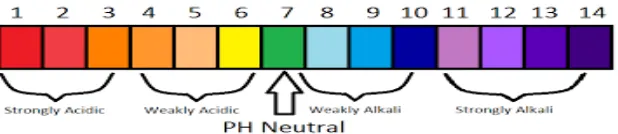 Gambar 2.1. pH Scale 