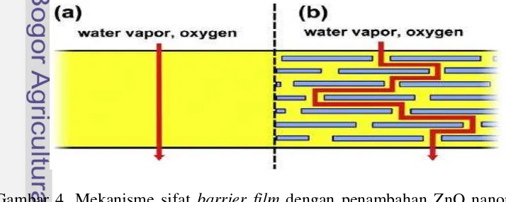 Gambar 4. Mekanisme sifat barrier film dengan penambahan ZnO nanopartikel 