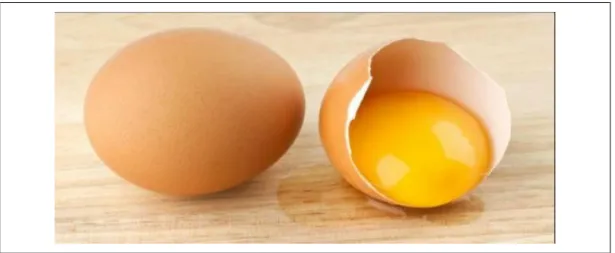 Gambar 6. Telur Ayam  2.7. Modifikasi Pati 