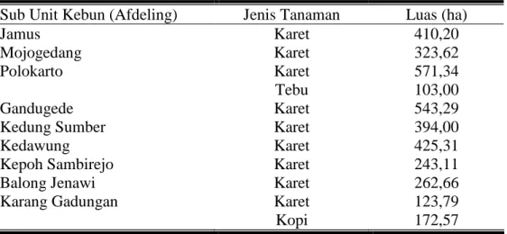 Tabel 6.  Jenis  Tanaman  dan  Luas  dari  Masing-masing  Sub  Unit  Kebun  (Afdeling) di Kebun Batujamus/Kerjoarum 