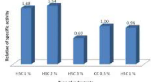 Figure 2.  Relative  activity  of  CDA  on  various  concentration  of  back  shrimp  chitin  (CC  =  coloidal  chitin;  BSC  =  chitin  from back shrimp) 