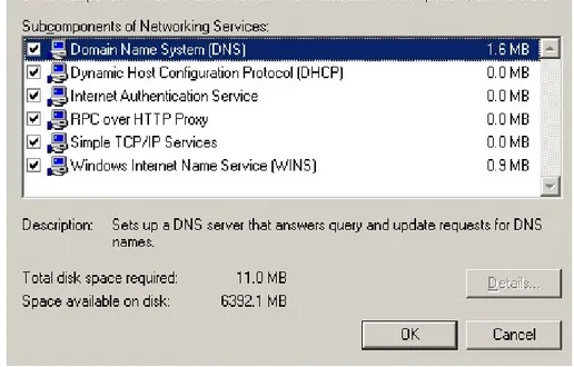 Gambar 7.4.   Kotak tanda centang Domain Name System (DNS) di dalam  Networking Services