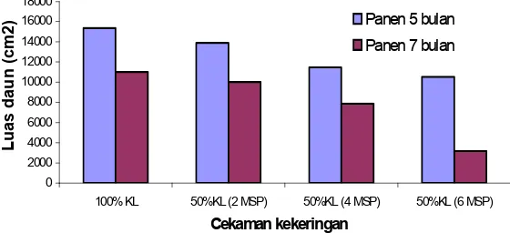 Tabel�4.�Pengaruh� umur� panen� dan� cekaman� kekeringan� terhadap� diameter�batang�(cm)�tanaman�temulawak�