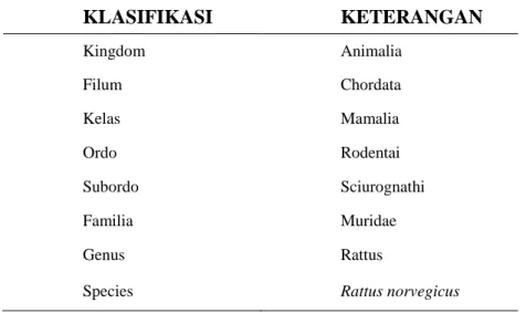 Tabel  1.  Klasifikasi  Tikus  Putih  (Rattus  norvegicus)  galur  Sprague  dawley. 