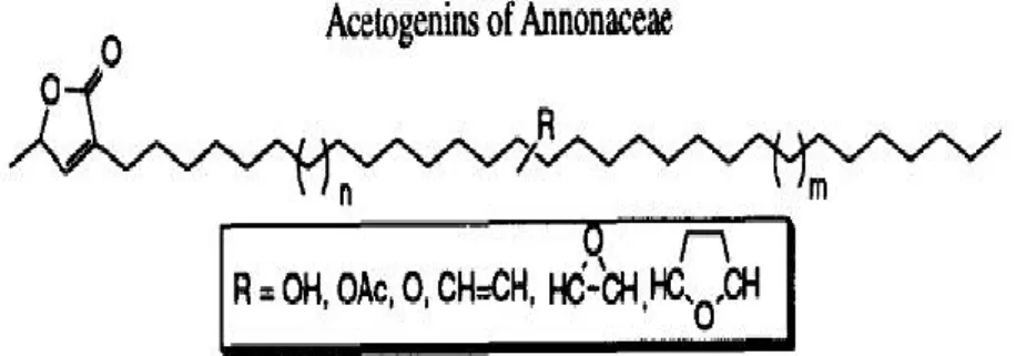 Gambar 4 . Annonaceus Acetogenin 