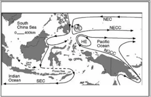 Gambar 3.  Pola pergerakan massa air di kawasan Indo – Pasifik  (sumber: https://www.eeb.ucla.edu/Faculty/Barber/Projects.htm) 