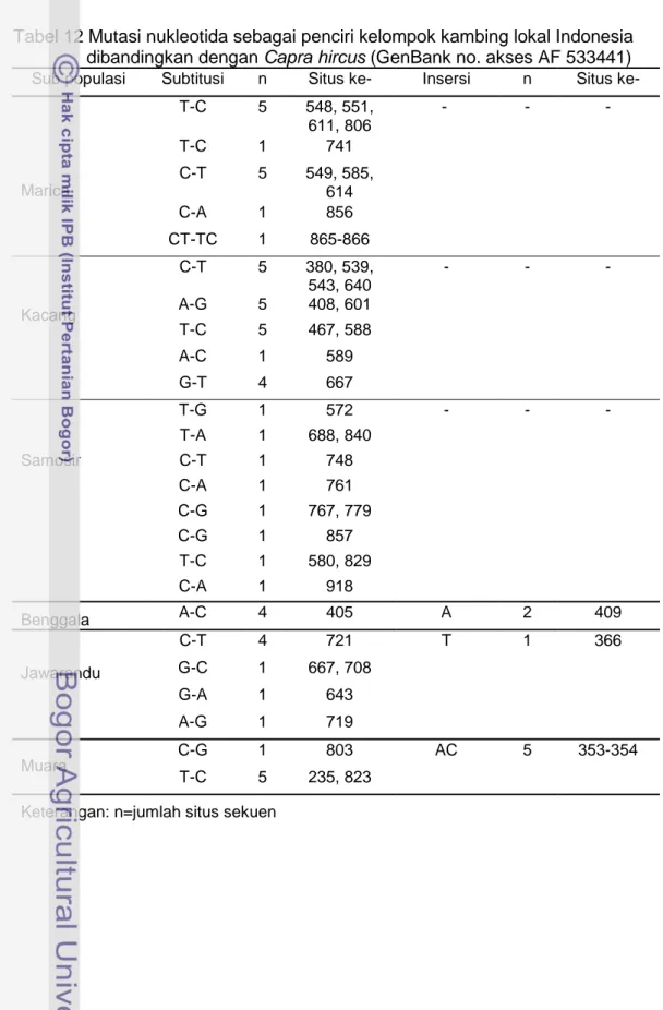 Tabel 12 Mutasi nukleotida sebagai penciri kelompok kambing lokal Indonesia  dibandingkan dengan Capra hircus (GenBank no