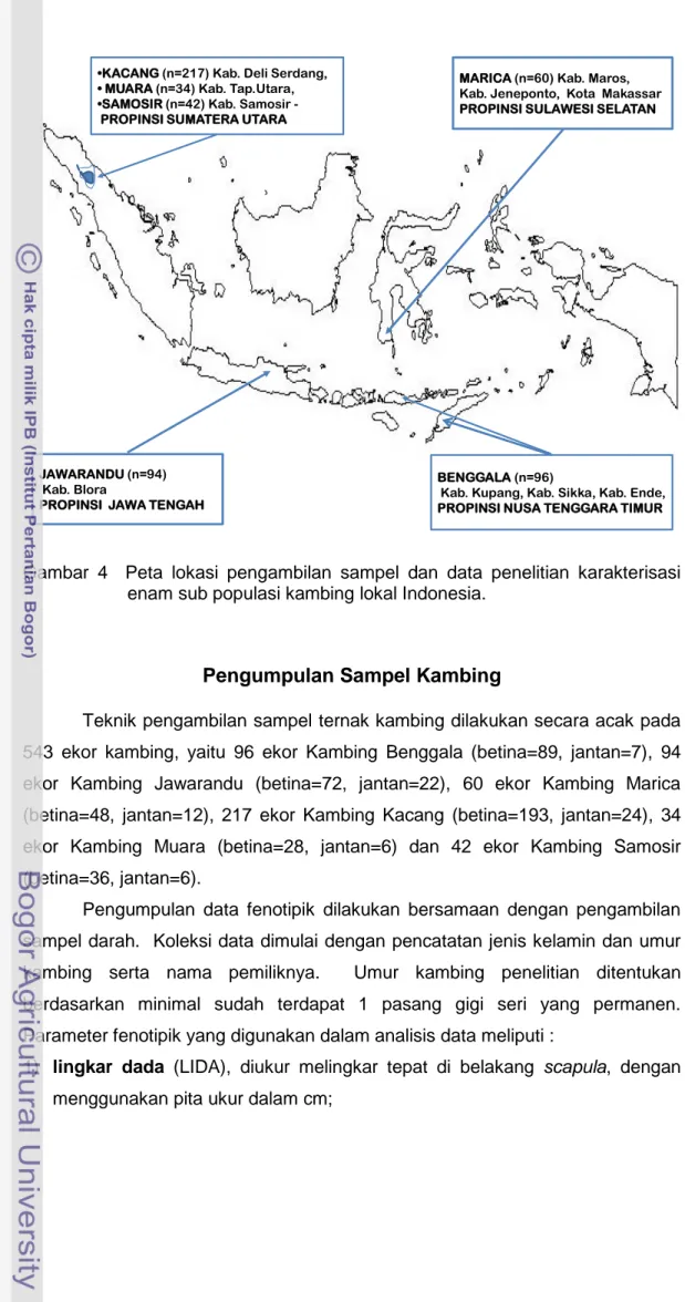 Gambar 4  Peta lokasi pengambilan sampel dan data penelitian karakterisasi  enam sub populasi kambing lokal Indonesia